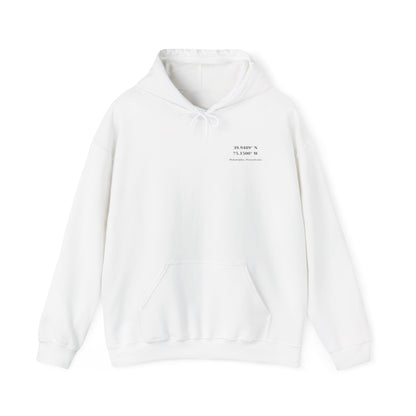 Independence Coordinates Hoodie
