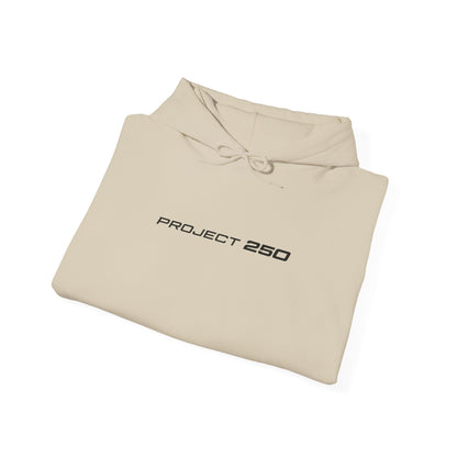 Project 250 Hoodie