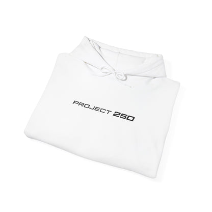 Project 250 Hoodie